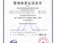 西安安康職業(yè)健康安全管理體系認(rèn)證 專業(yè)咨詢，鑄就企業(yè)安全基石