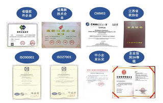 云坤互聯網 政務服務解決方案